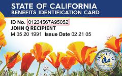 BIC ID Card